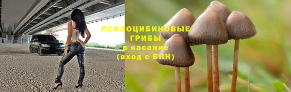 мет Алзамай