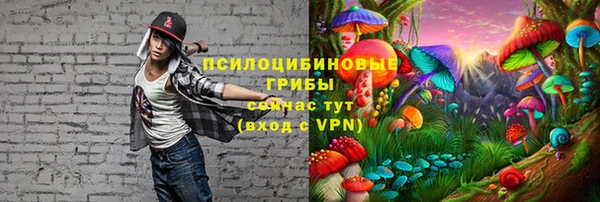 ешки Покровск