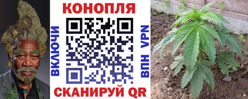 Каннабис OG Kush Ясный